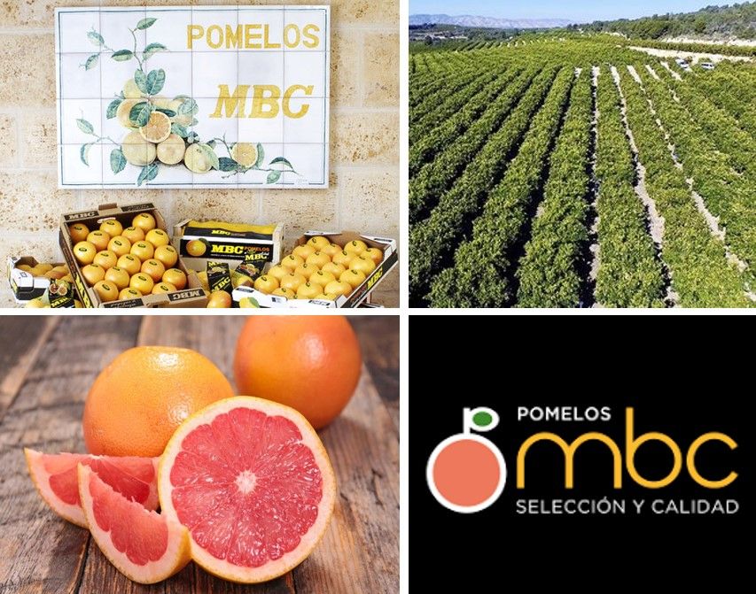 POMELOS MBC obtiene el certificado de calidad empresarial CEDEC y reafirma su colaboración con la consultoría