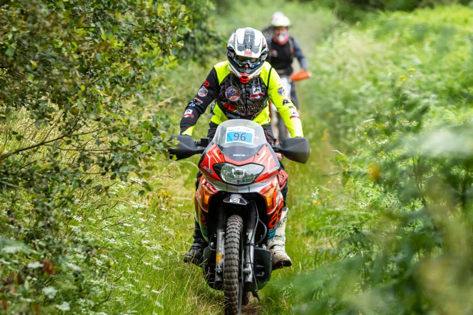 Distintas opciones de pegatinas para moto personalizada con ADHESIVOSEMBARRADOS