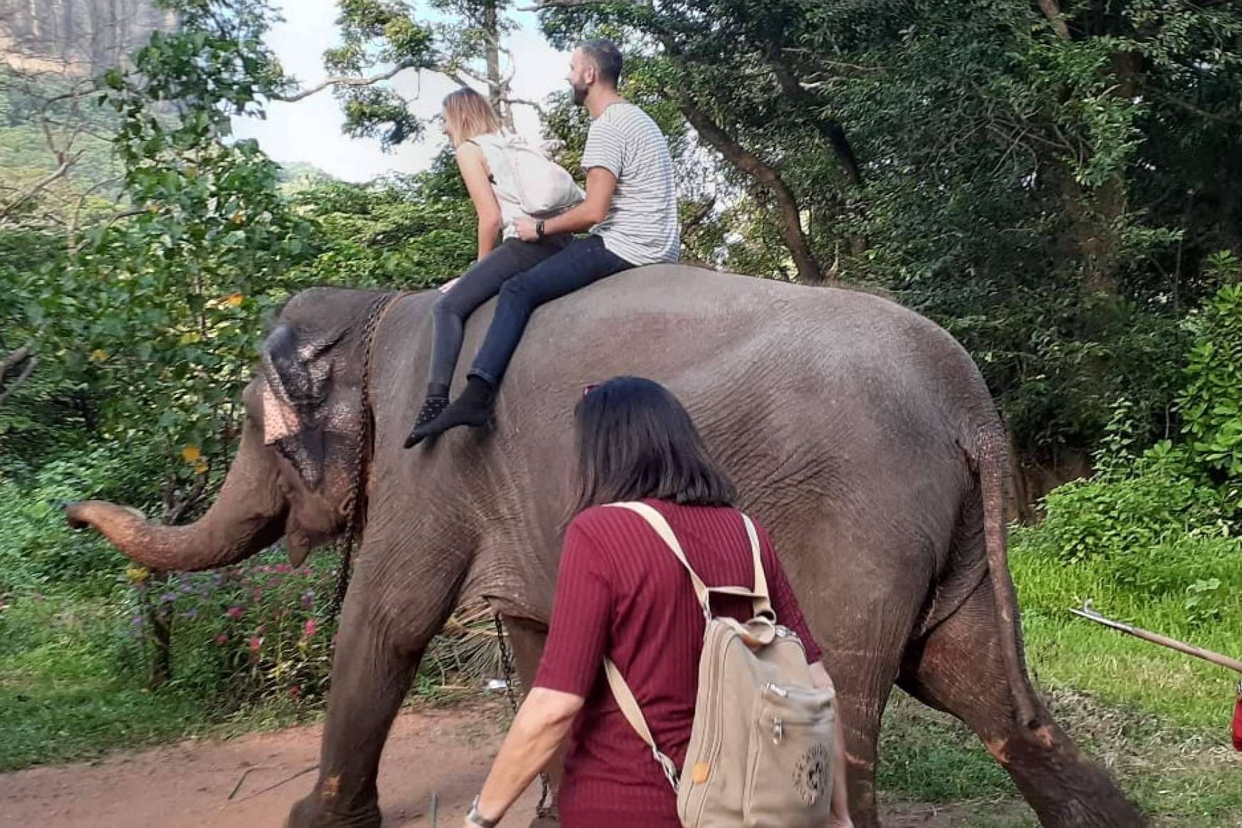 Sri Lanka Viajes Edén demuestra la hospitalidad en Sri Lanka en tiempos de crisis