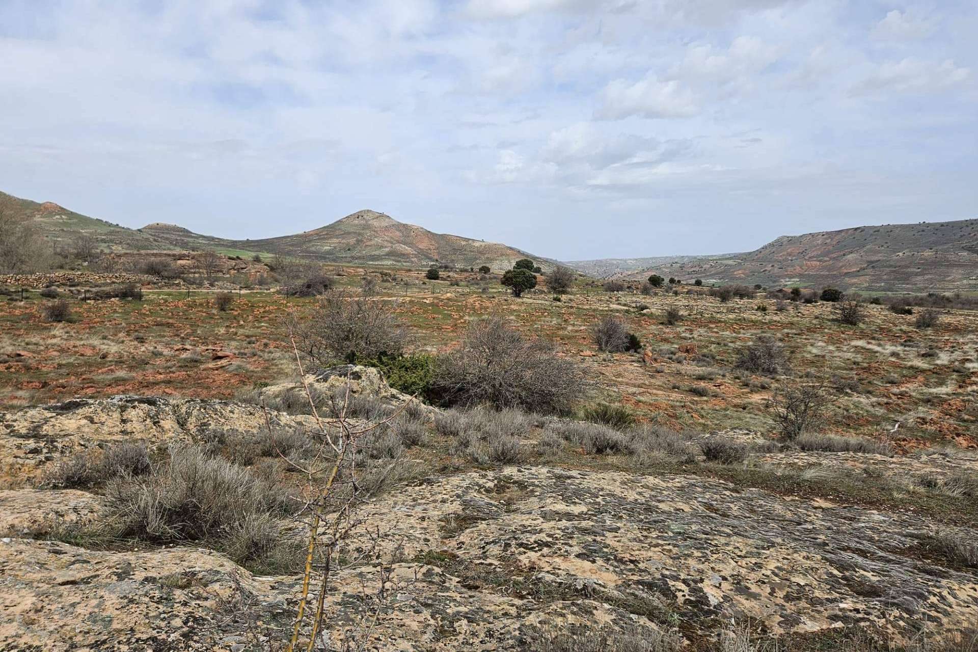 El nuevo bosque que CO2 GESTIÓN ha plantado para IAG7 VIAJES neutralizará 5.600 toneladas de CO2