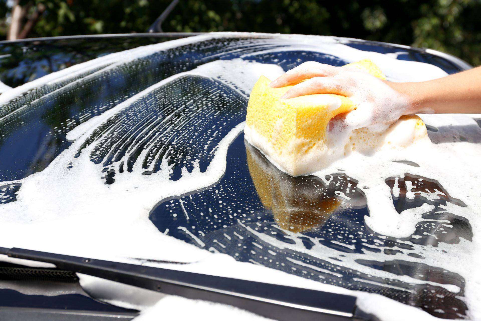 Cómo quitar los insectos aplastados del coche fácilmente