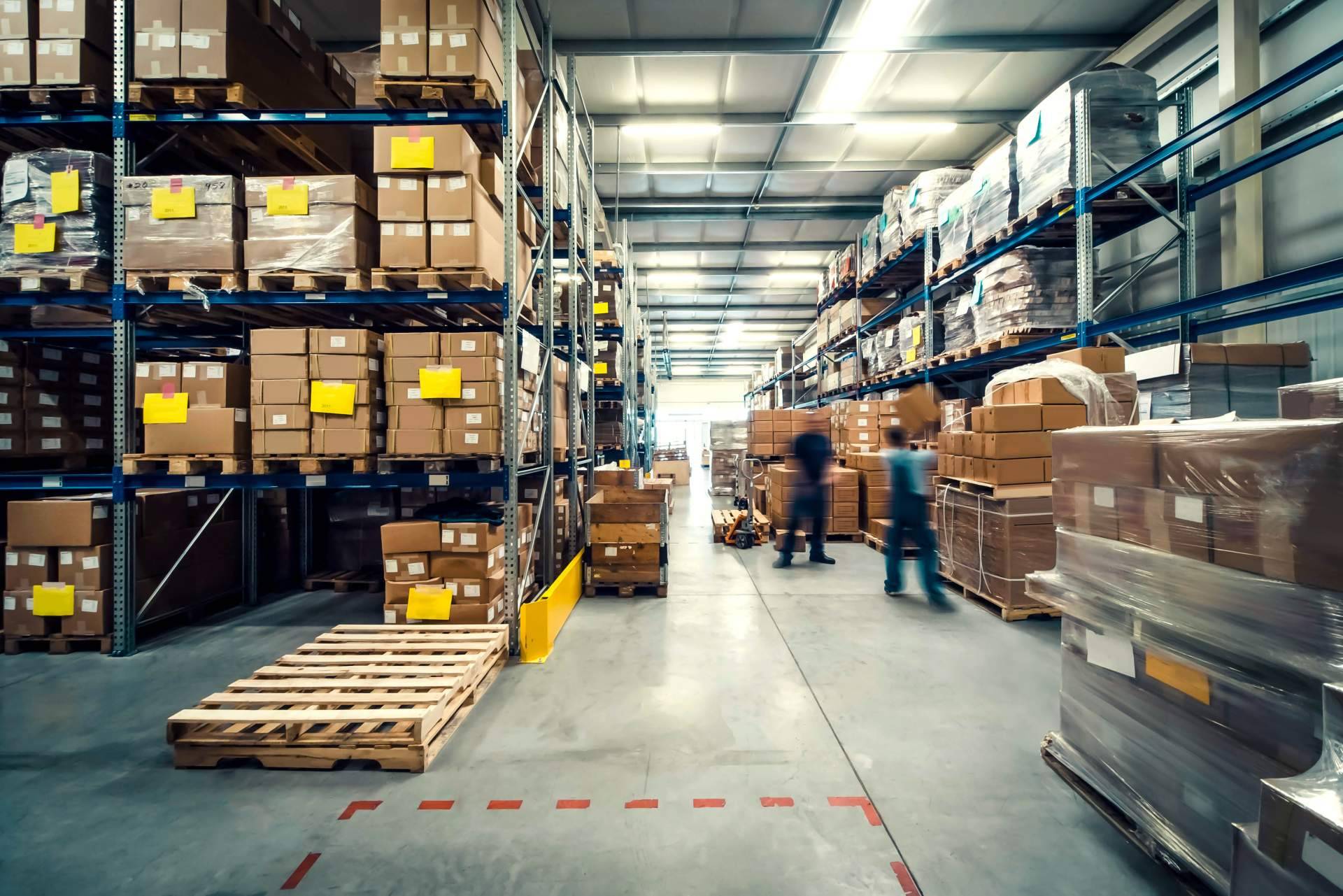¿Por qué comprar palets de madera es la clave para una logística sostenible y eficiente?