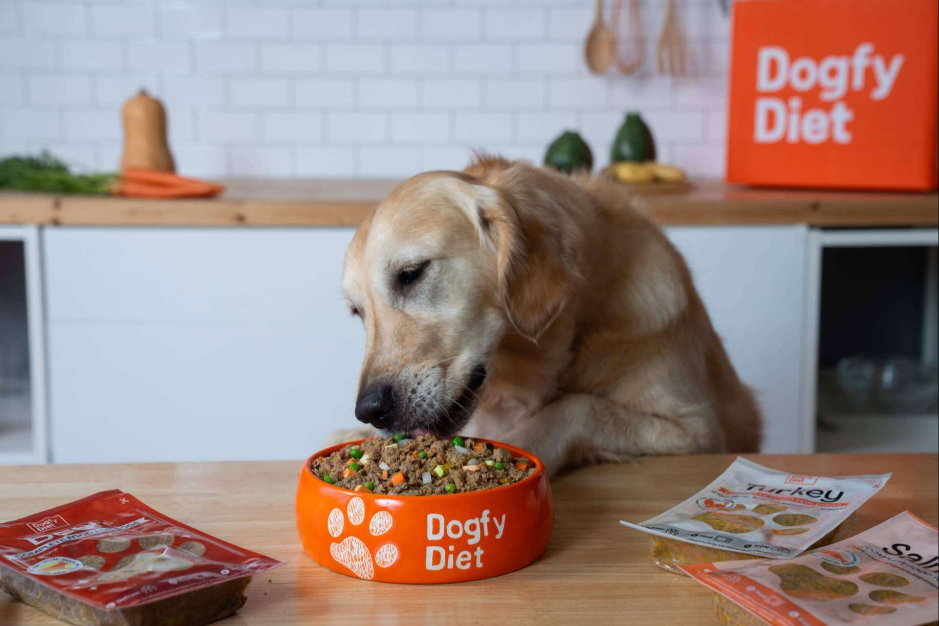 Dogfy Diet lidera la transformación hacia dietas naturales, sostenibles y personalizadas para perros