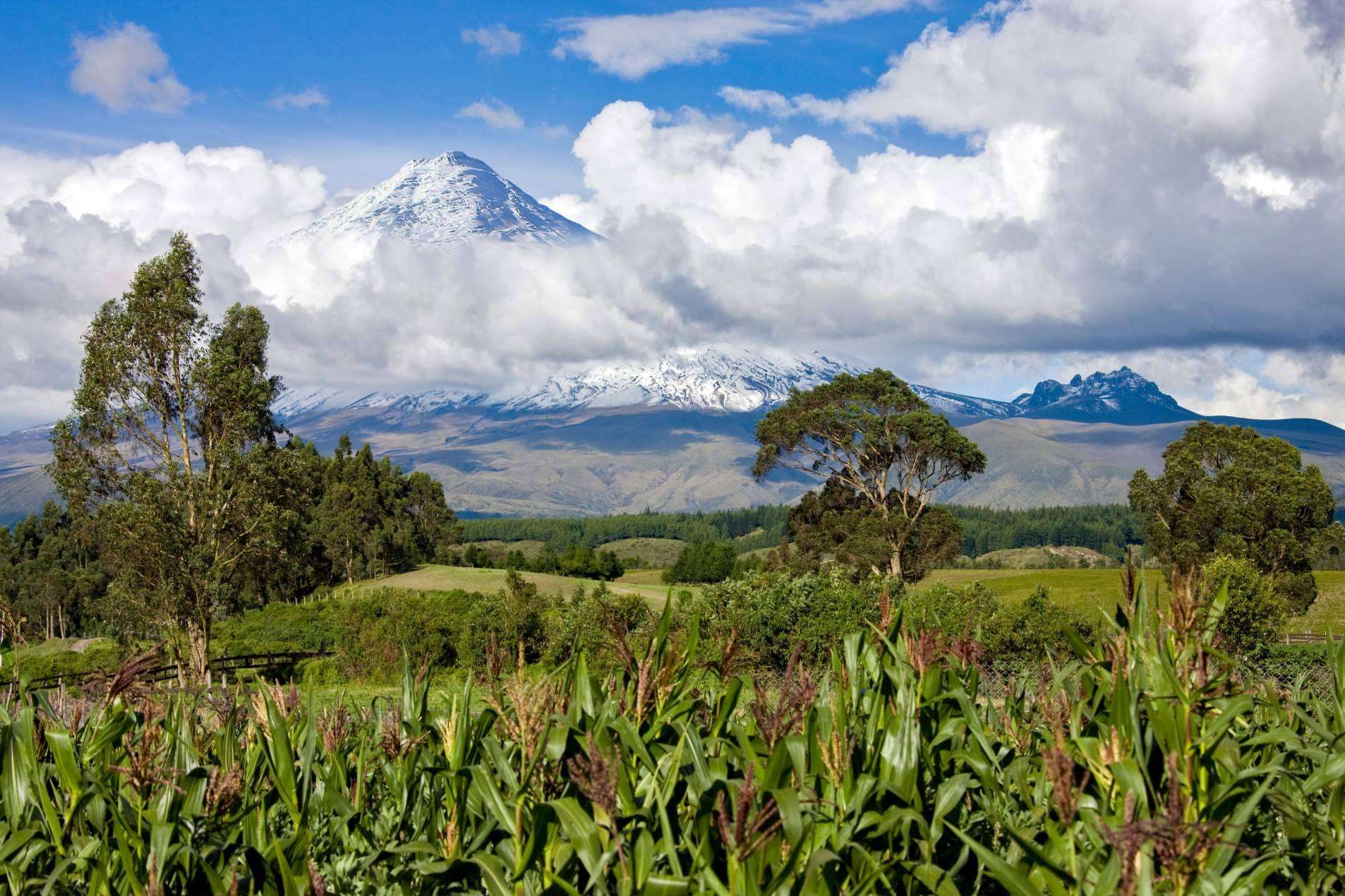 Bolivia, Colombia, Ecuador y Perú y la Secretaría General de la CAN lanzan iniciativa 'Caminos Andinos'