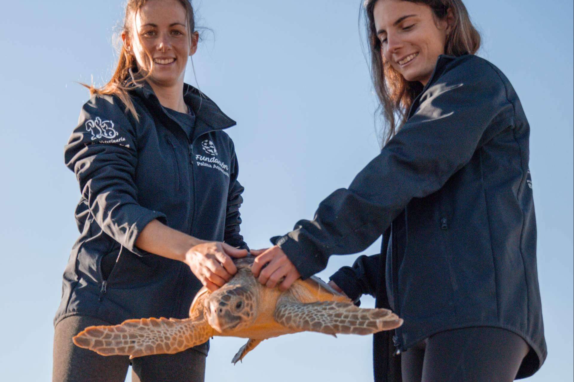Palma Aquarium lanza ‘Som de la Mar’ con una fiesta benéfica y una programación especial cada mes