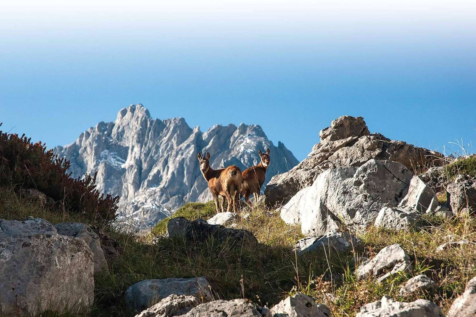 Del mar a la montaña; ocho destinos rurales para descubrir esta primavera