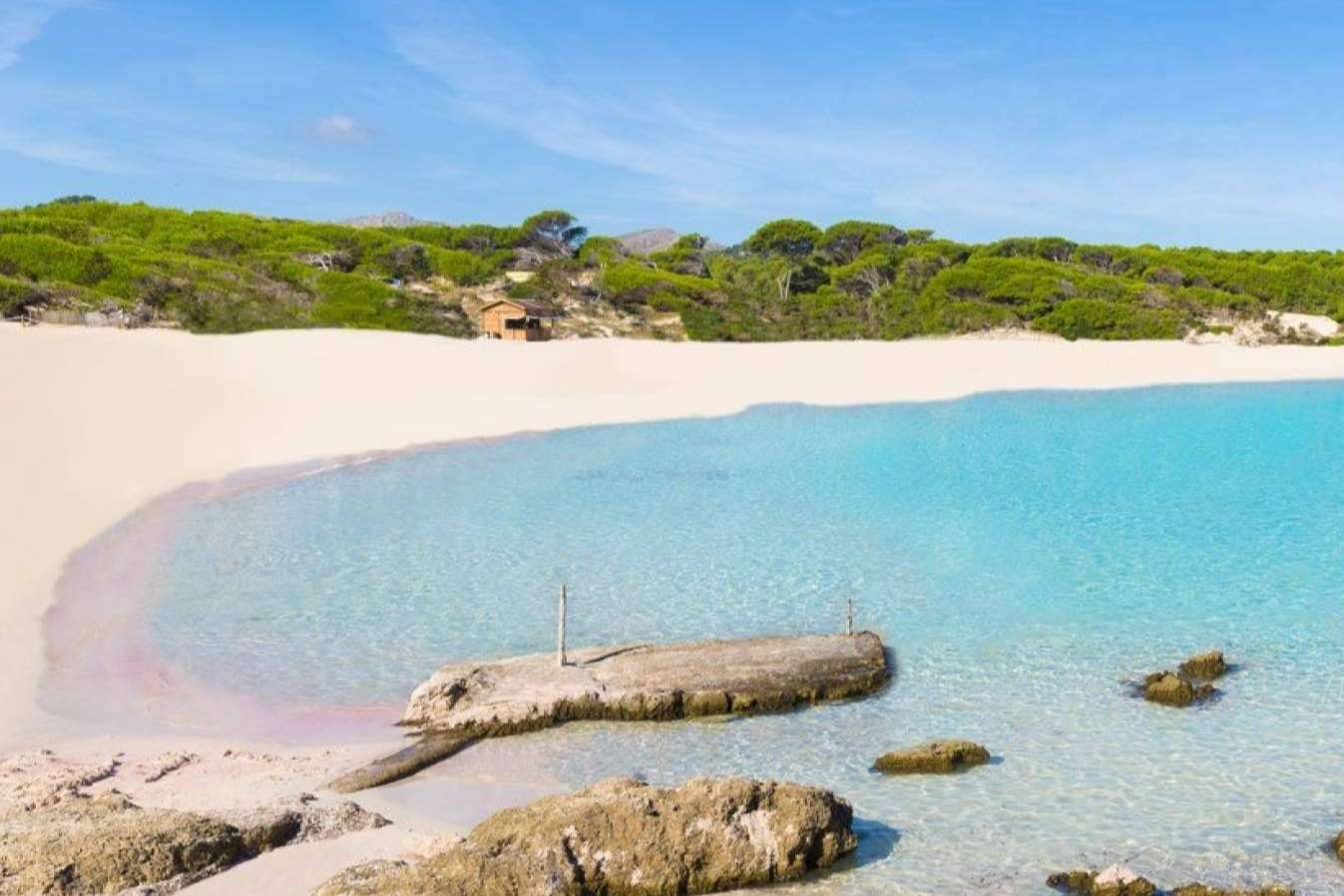 Mallorca Transfer Pellicer; La experiencia de traslado privado definitiva en Semana Santa
