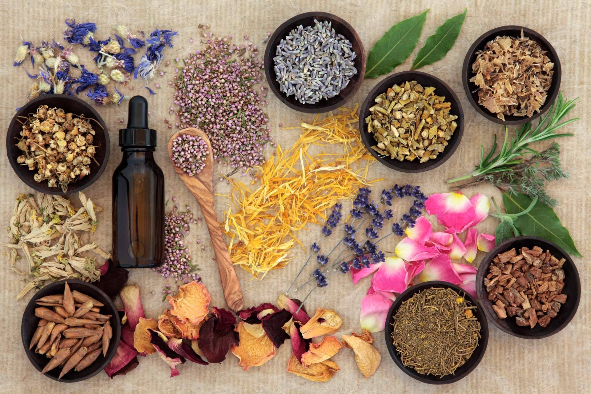 Diferencia entre la naturopatía y medicina natural, por Fortalecimiento Vital