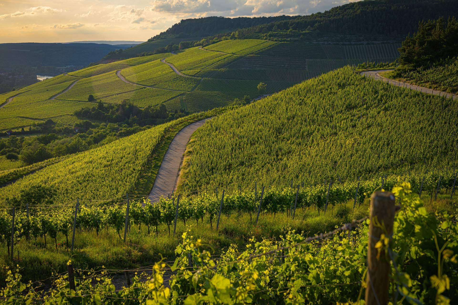 Soluciones avanzadas de Salher para la depuración y reutilización de agua en bodegas