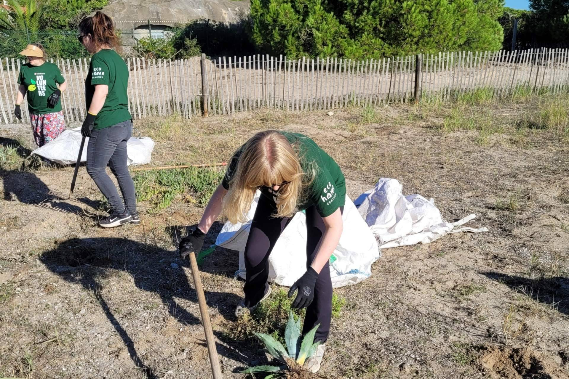 El equipo de sostenibilidad de Interhome impulsa la restauración del Delta del Llobregat