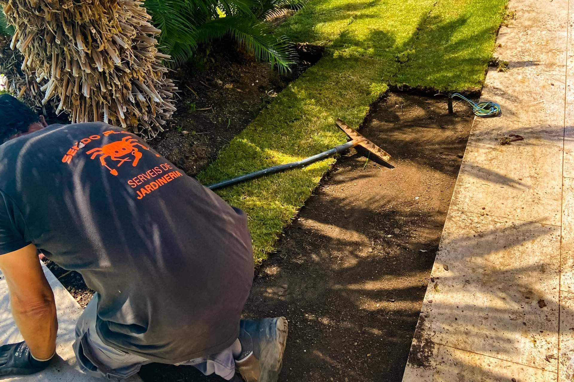 Empresa de Jardinería en Barcelona; creando espacios verdes sostenibles y duraderos