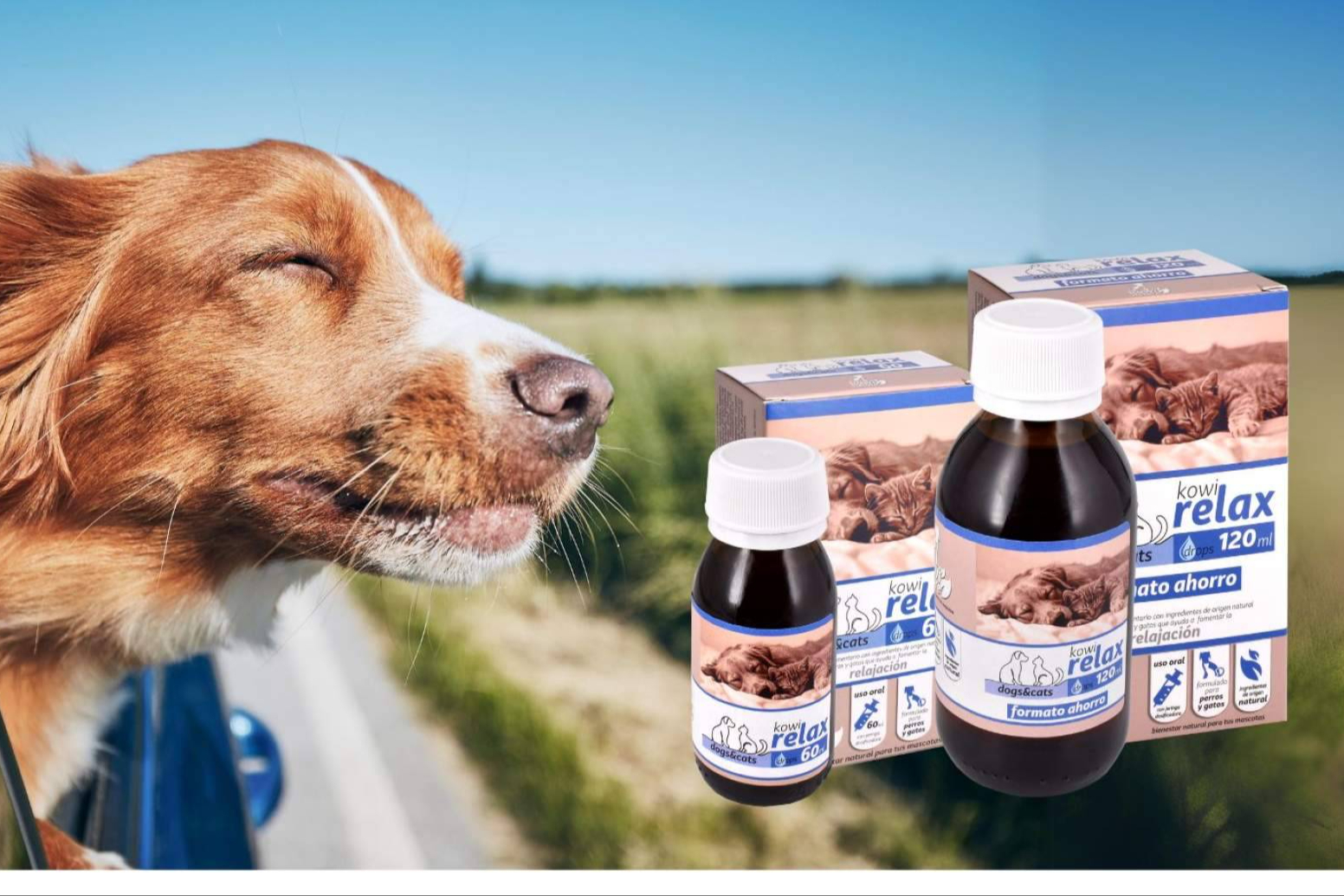 Kowi Nature; La marca española de suplementos para mascotas que está triunfando en Amazon