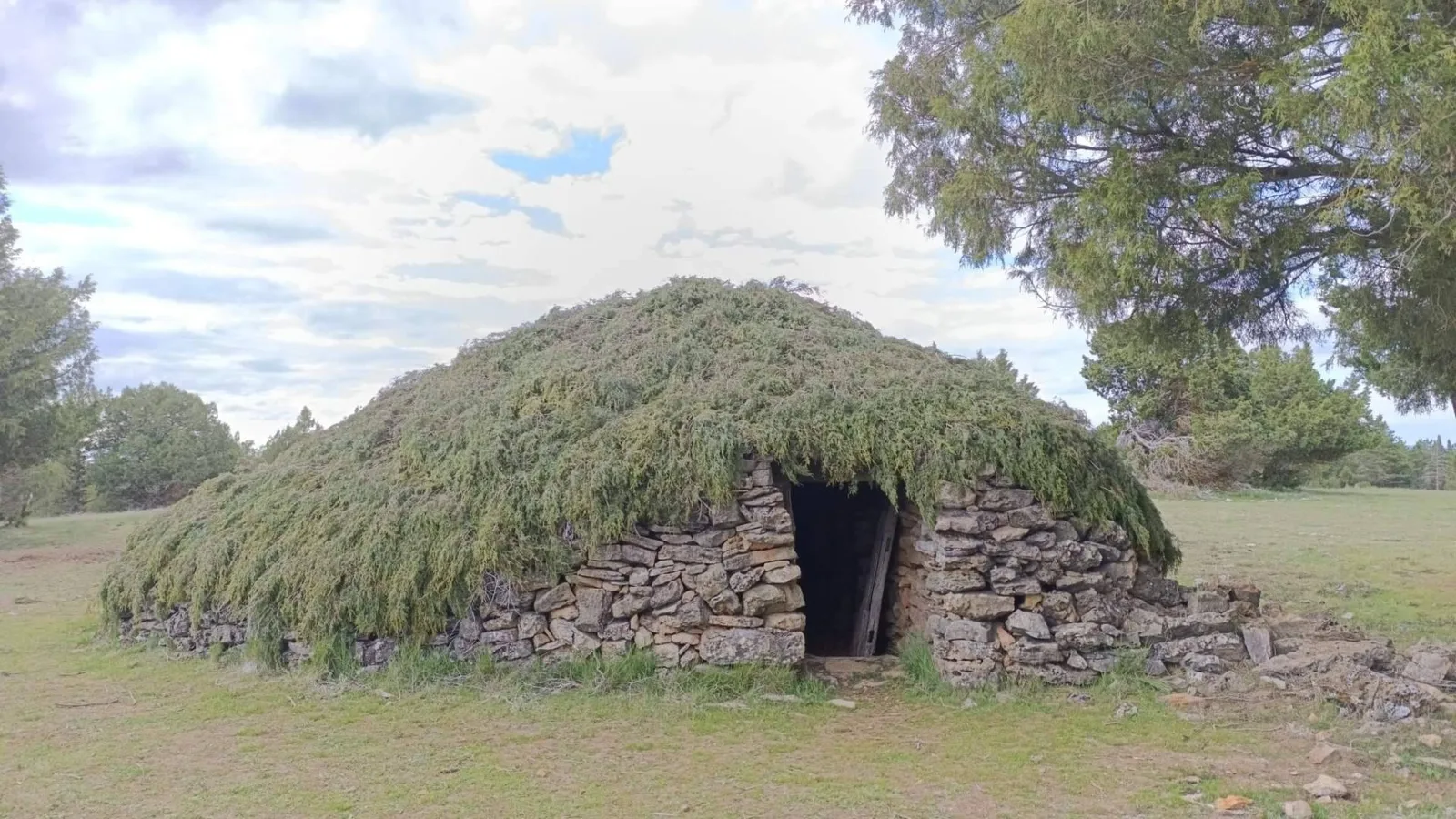 El Alto Tajo recupera sus chozones sabineros para preservar su memoria pastoril y reforzar su atractivo turístico